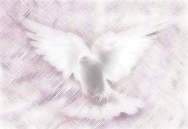 Holy Spirit Dove