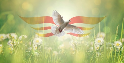 Unlearn, Relearn, Be Born Again / Spiritual&nbsp;Meditations